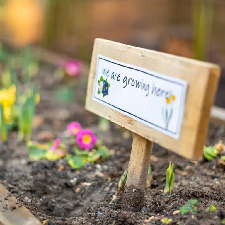 Growing in the Nursery Garden